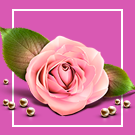 Florist: доставка цветов и подарков, цветочный магазин на Старте — Подарки и сувениры