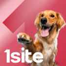 1Site.NKO – платформа для НКО и благотворительных фондов — Готовые сайты