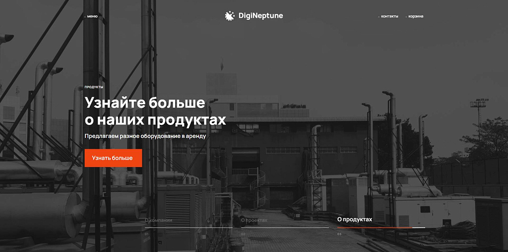 Имиджевый сайт-каталог DIGINEPTUNE с возможностью покупки — скриншот 1 из 7