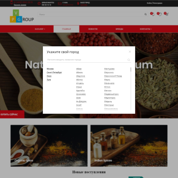 Интернет-магазин специй Pvgroup.Food: дизайн №60161 — скриншот 4 из 14