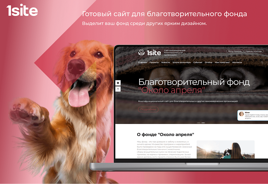 1Site.NKO – платформа для НКО и благотворительных фондов — скриншот 1 из 7