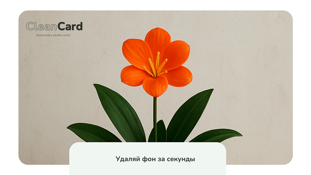 Скриншот 2