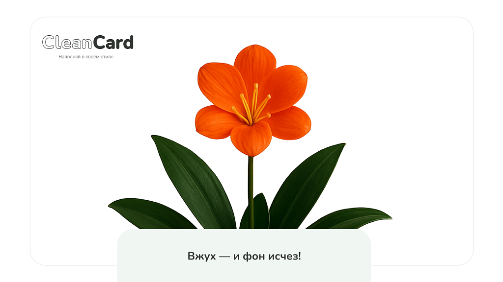 Скриншот 3