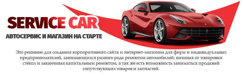 ServiceCar - запуск автосервиса и автомагазина — скриншот 1
