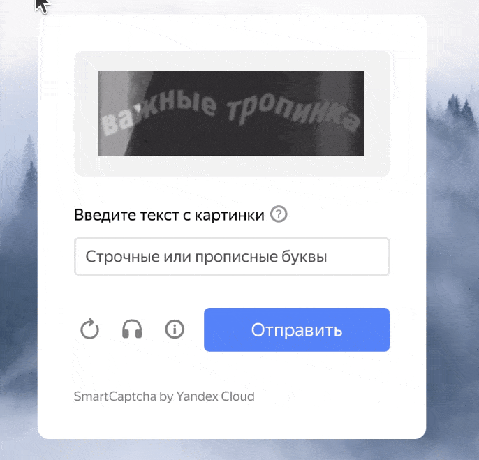 BXmaker. Капча: Яндекс SmartCaptcha, Google ReCaptcha, hCaptcha, MTCaptcha — скриншот 6