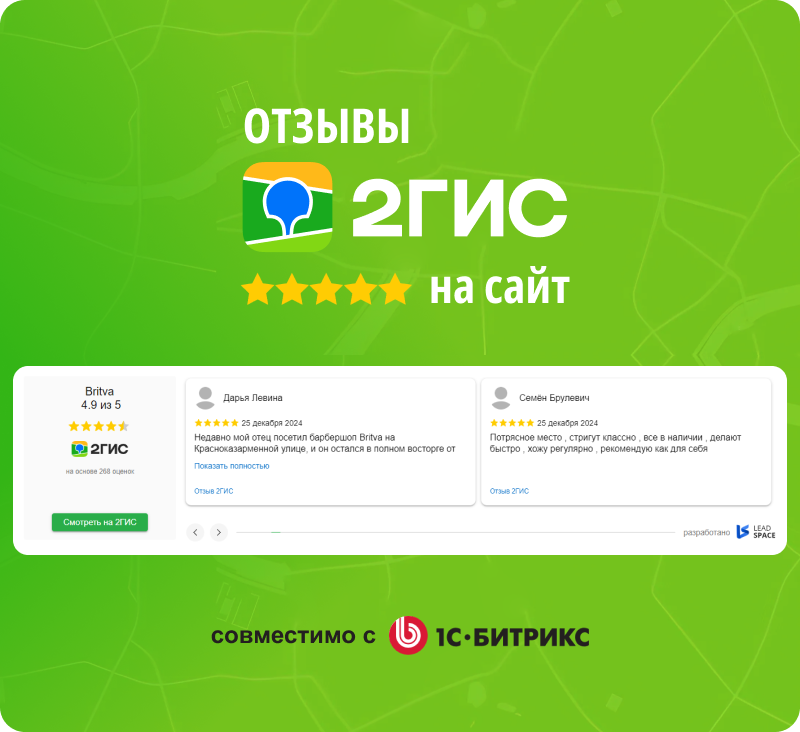 LeadSpace: Отзывы с 2ГИС для вашего сайта — скриншот 2