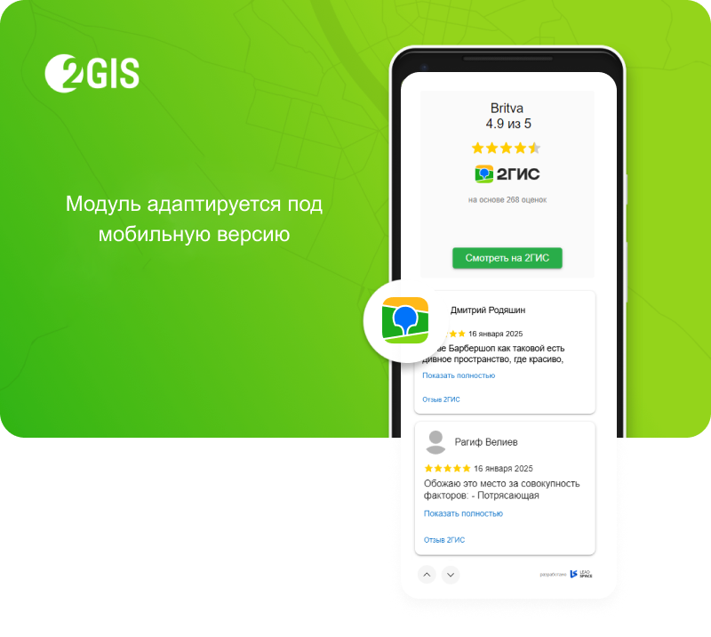 LeadSpace: Отзывы с 2ГИС для вашего сайта — скриншот 7