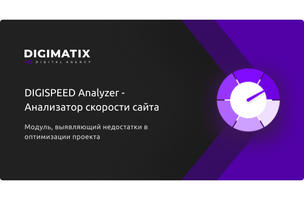 DIGISPEED Analyzer: профессиональный аудит скорости сайта — скриншот 1