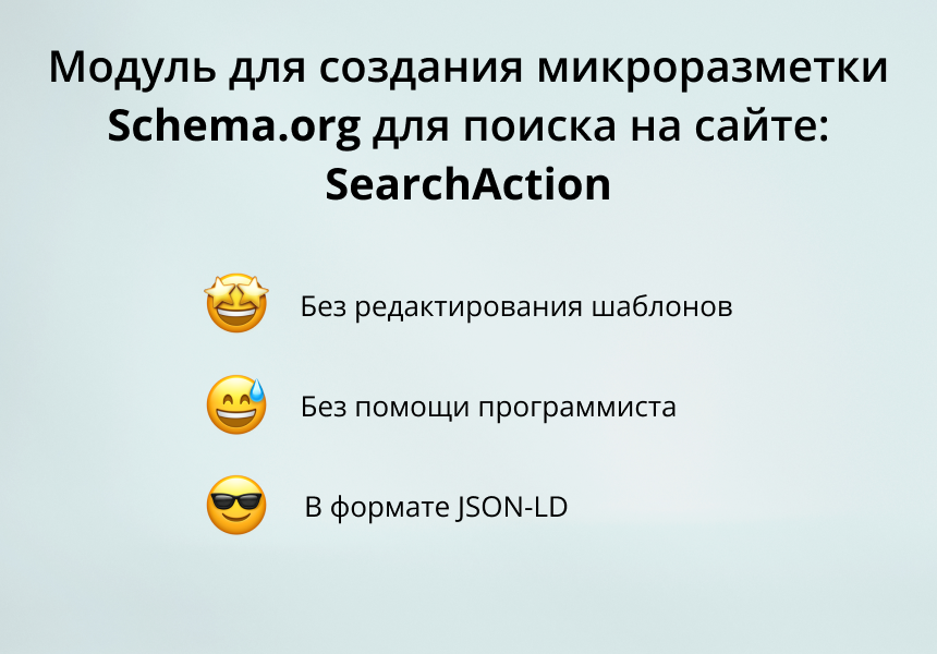 INRAISE: SearchAction Schema. SEO-микроразметка поиска без участия разработчика — скриншот 4